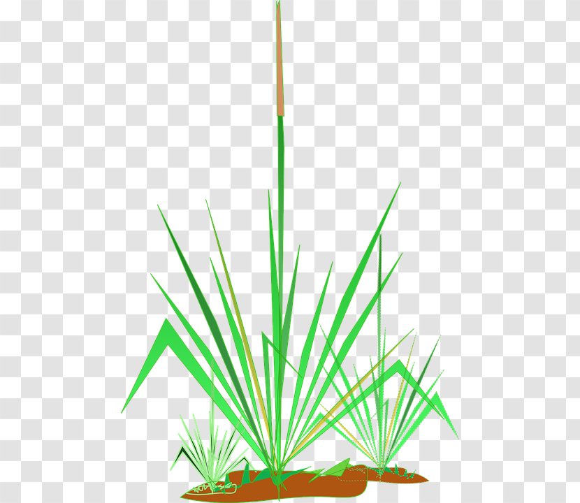 Free Content Clip Art - Grass - Green Plants Transparent PNG
