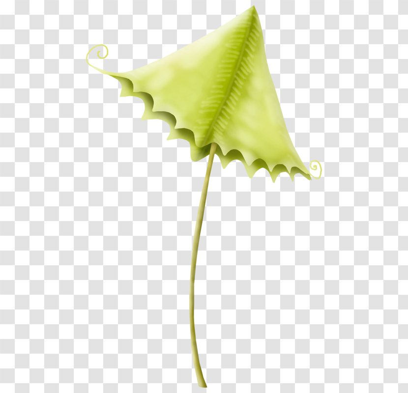 Cartoon Umbrella Designer - Creative Transparent PNG