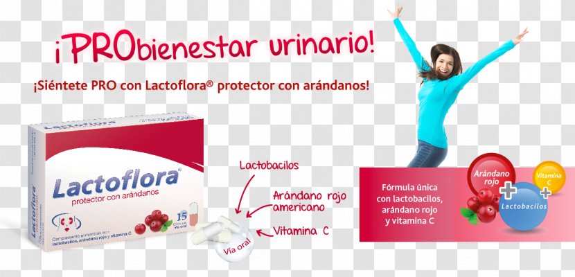Probiotic Skin Prebiotic Online Advertising Health - Brand - Arandanos Transparent PNG