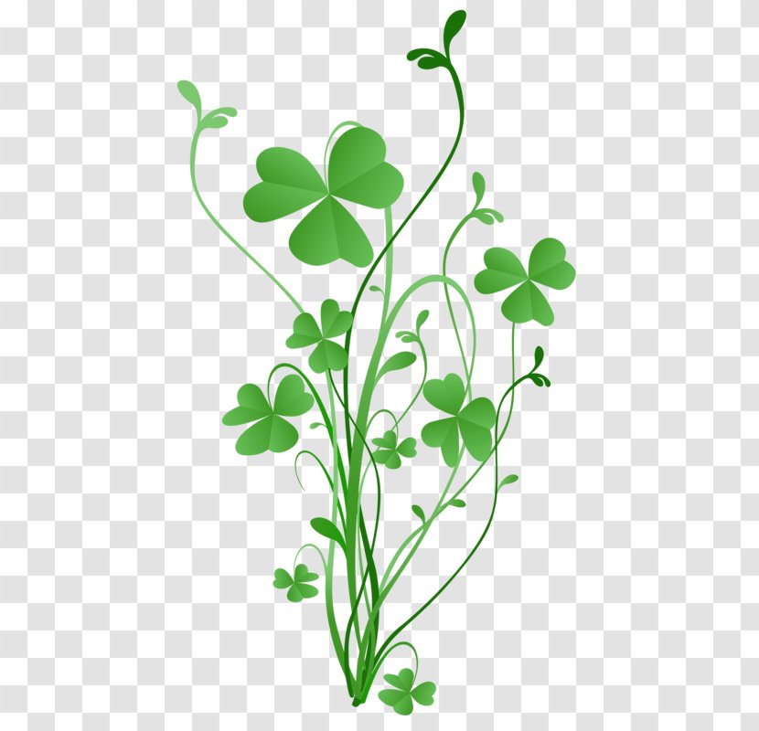 Saint Patrick's Day Shamrock Four-leaf Clover Greeting & Note Cards - Fourleaf Transparent PNG