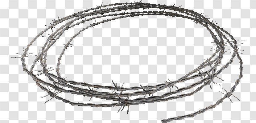 Barbed Wire Interlacing Clip Art Transparent PNG