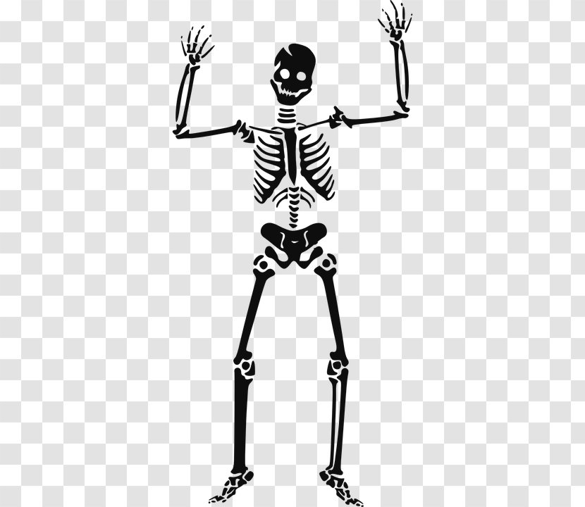 Clip Art Skull Skeleton Openclipart - Black And White - Urlaub Transparent PNG