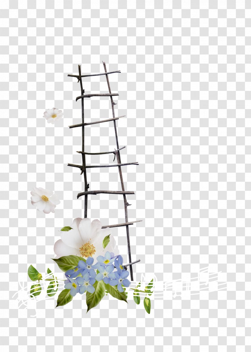 Ladder Stairs - Flora - Flowers Transparent PNG