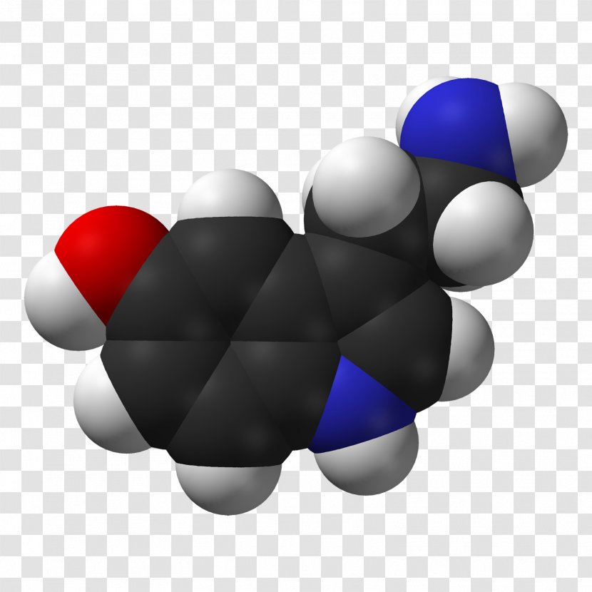 Serotonin Enteric Nervous System Space-filling Model Chemistry Neurotransmitter - Monoamine Oxidase - SF Transparent PNG