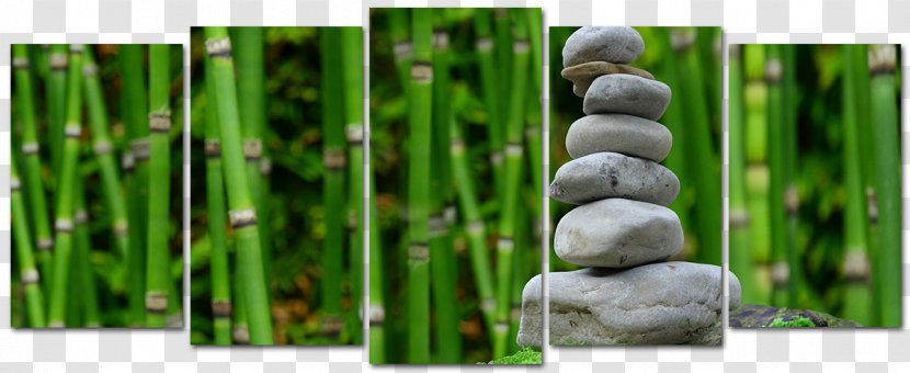 4K Resolution Bamboo Desktop Wallpaper Garden - 4k Transparent PNG