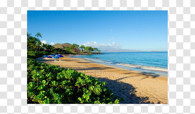 Caribbean Sea Water Resources Beach Coast - A Trip To Hawaii Transparent PNG