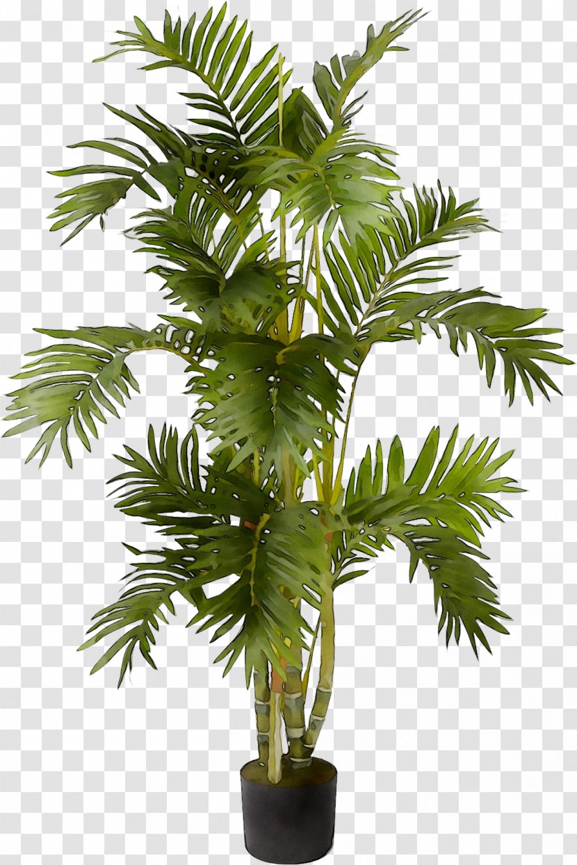 Nearly Natural, Inc. Artificial & Dried Flora Plants Palm Trees - Elaeis Transparent PNG