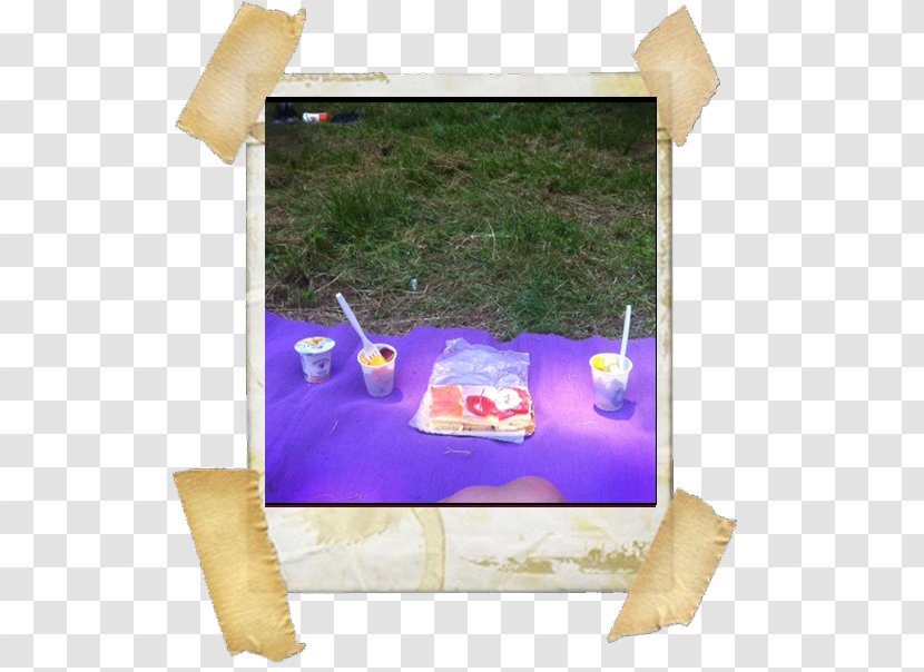 Stock Photography Royalty-free Polaroid Corporation - Purple - Picnic Transparent PNG