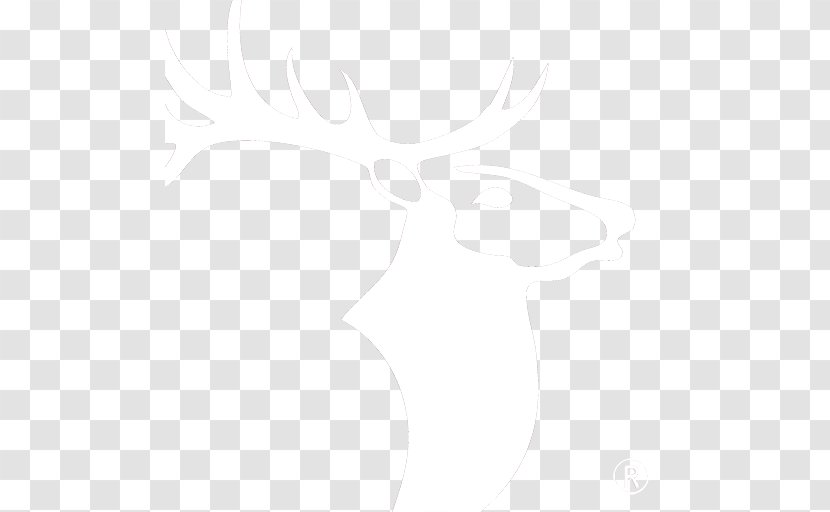 White Line Art Sketch - Design Transparent PNG