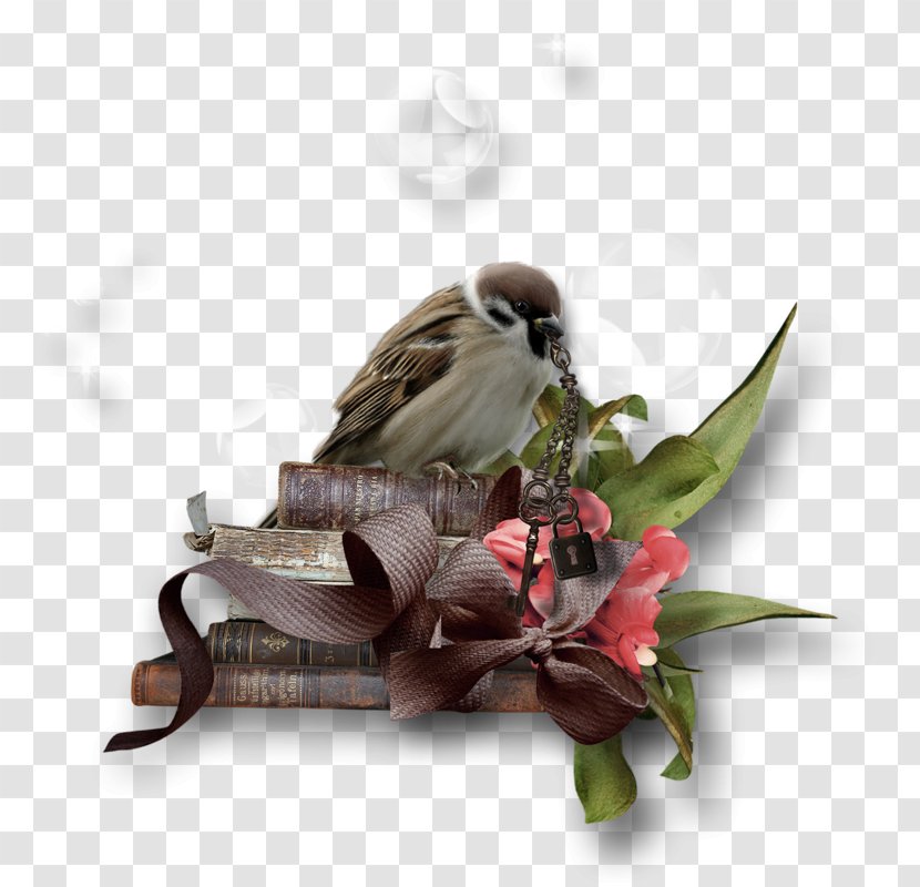 Flower - Bird - Plant Transparent PNG