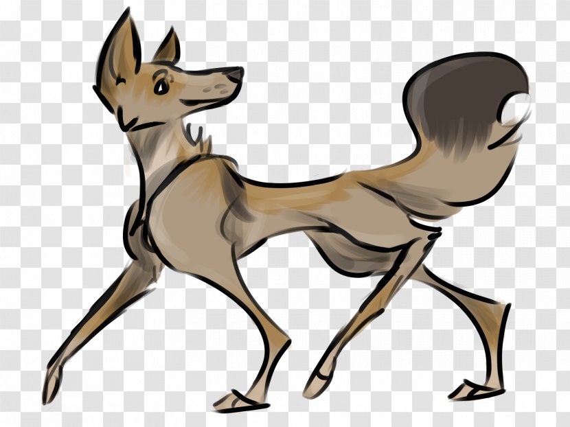 Dog Breed Red Fox Deer Macropods - Carnivoran Transparent PNG