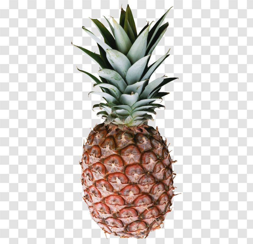 Upside-down Cake Pineapple - Flowerpot Transparent PNG