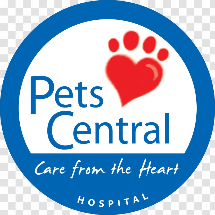 Cat Veterinarian Pet Dog PC Corporate Headquarters - Watercolor Transparent PNG