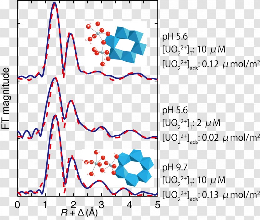 Extended X-ray Absorption Fine Structure Spectroscopy Adsorption Coordination Complex - Tree - Gib Transparent PNG