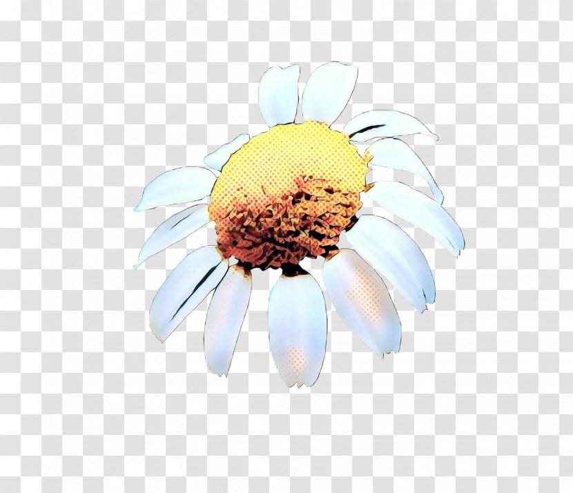 Flowers Background - Daisy Family - Coneflower Transparent PNG