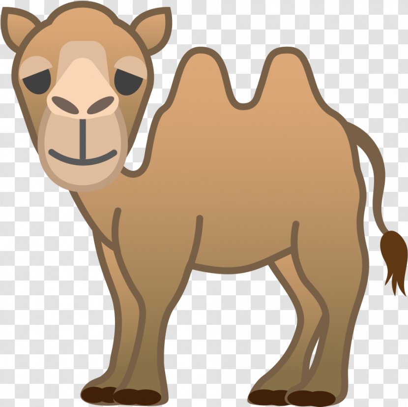 Camel Camelid Arabian Cartoon Brown - Livestock - Bactrian Transparent PNG