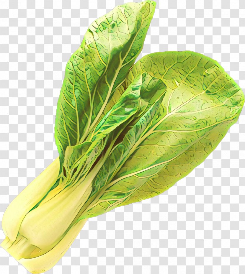 Leaf Vegetable Choy Sum Chard - Tatsoi Romaine Lettuce Transparent PNG