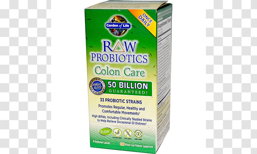 Probiotic Large Intestine Raw Foodism Dietary Supplement Health - Gastrointestinal Tract Transparent PNG