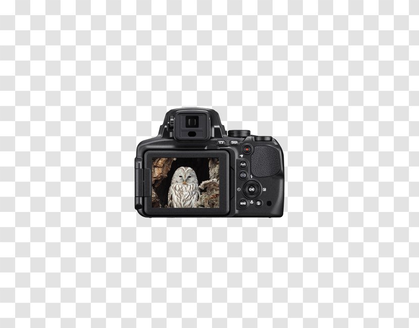 Nikon Coolpix P900 Camera Photography Zoom Lens - Accessory Transparent PNG