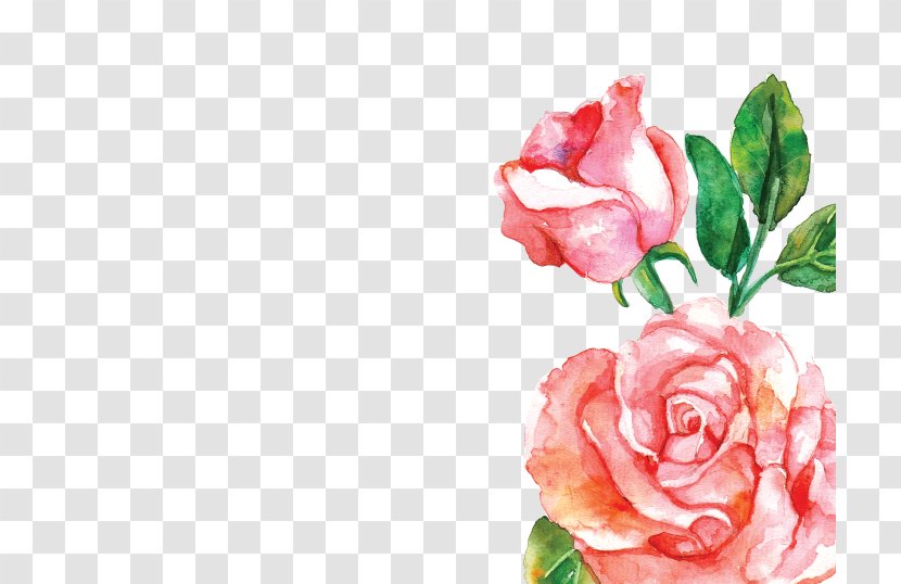 Gramado Watercolor Painting Flower Pink - Rose Transparent PNG