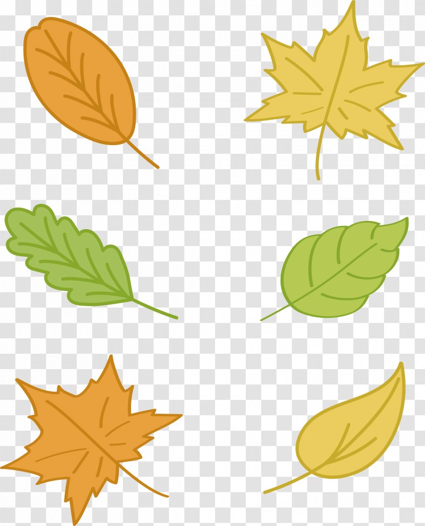 Maple Leaf Autumn Euclidean Vector Yellow - Color - Hand-painted Leaves Transparent PNG