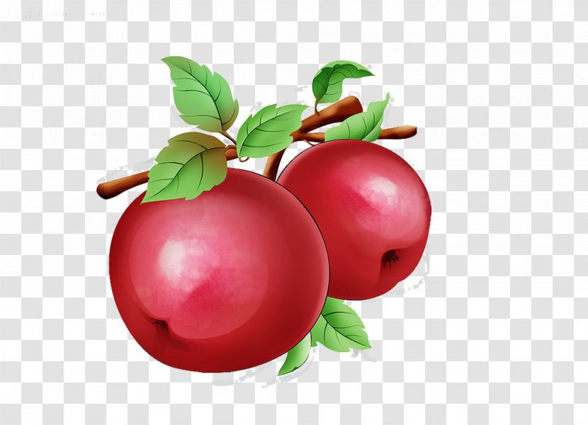 Barbados Cherry Apple Auglis - Diet Food - Painted Red Picture Material Transparent PNG