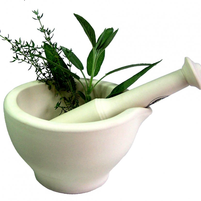 Central Institute Of Medicinal And Aromatic Plants Herb Medicine - Flowerpot - Herbs Transparent PNG