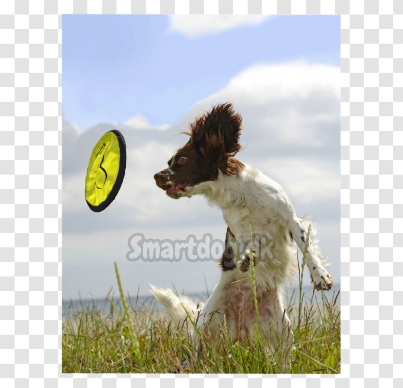 Dog Breed Puppy Grassland - Grass Transparent PNG