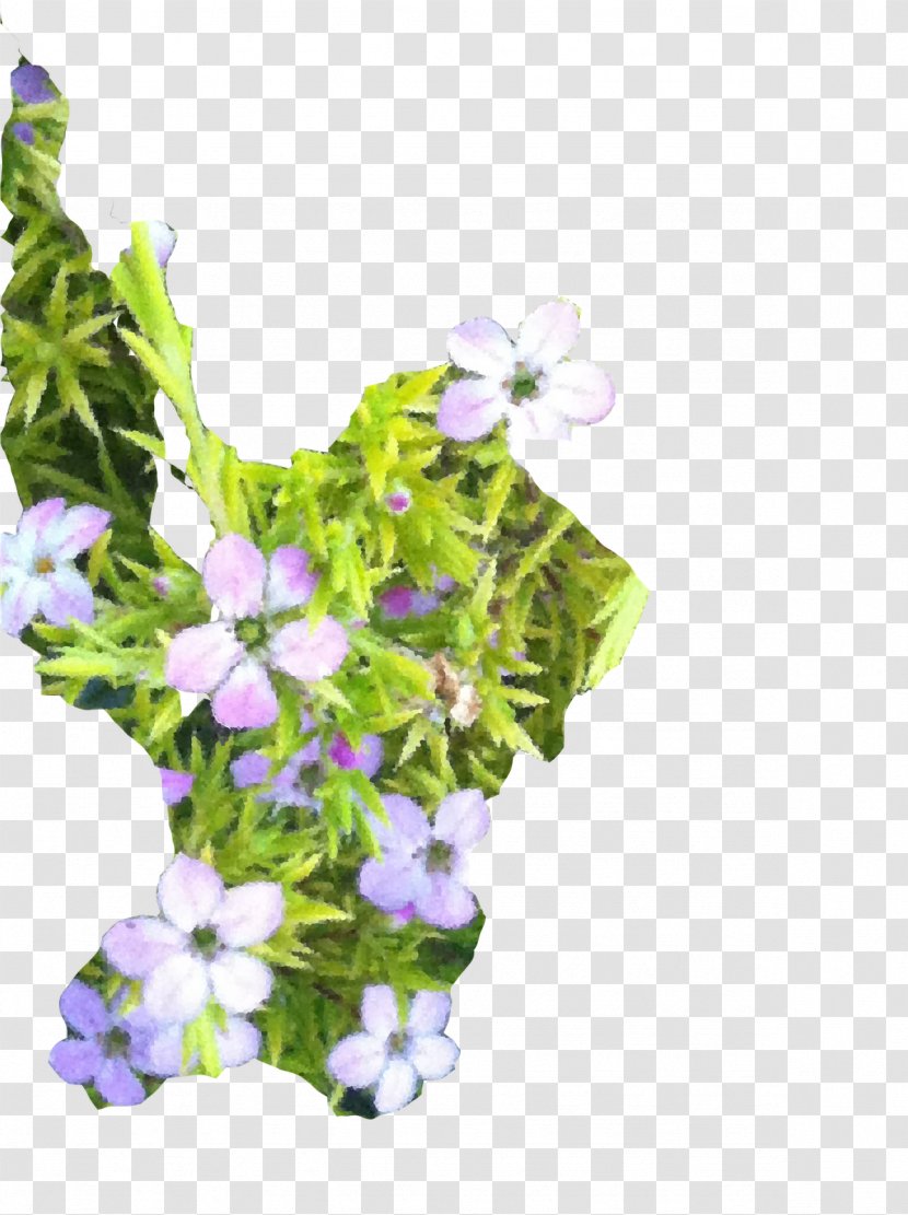 Annual Plant - Flower - Blur Leaves Transparent PNG