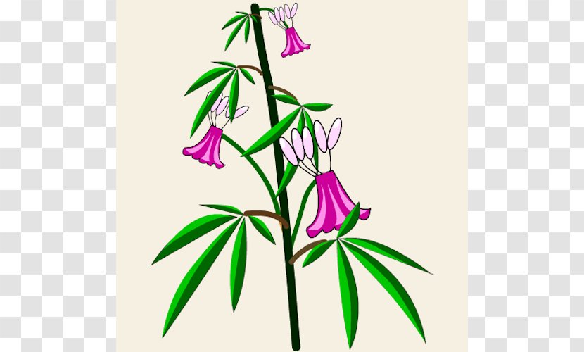 Dofus Cannabis Sativa Flower Hemp Cannabidiol - Plant Stem Transparent PNG
