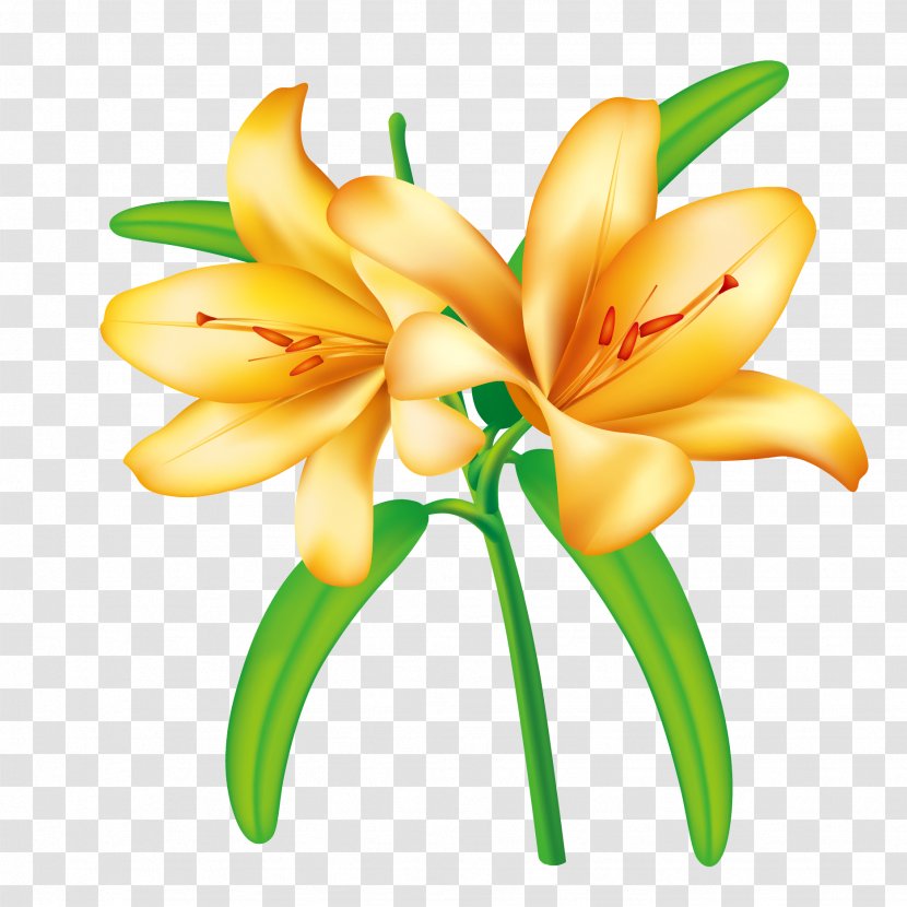 Border Flowers Yellow Clip Art - Floral Design - Vector Bloom In Lily Transparent PNG