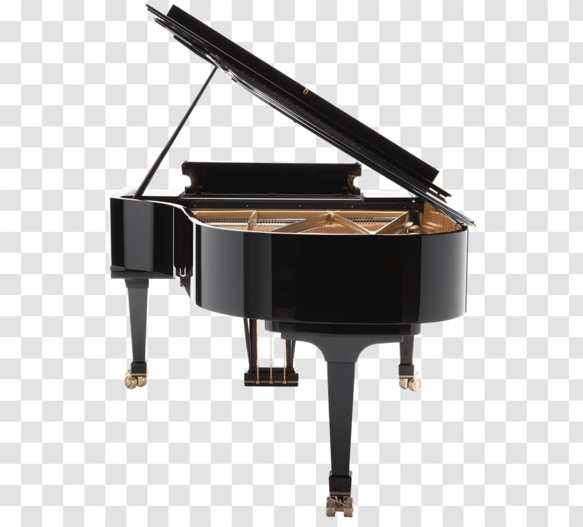 Fazioli Grand Piano Blüthner Musical Instruments - Frame Transparent PNG