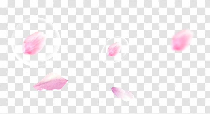 Petal Heart Pattern - Pink Peach Petals Floating Material Transparent PNG