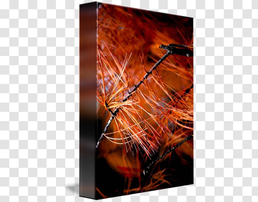 Modern Art Desktop Wallpaper Heat Computer - Pine Needles Transparent PNG