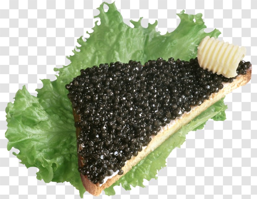 Beluga Caviar Butterbrot Oladyi Pancake - Sockeye Salmon Transparent PNG