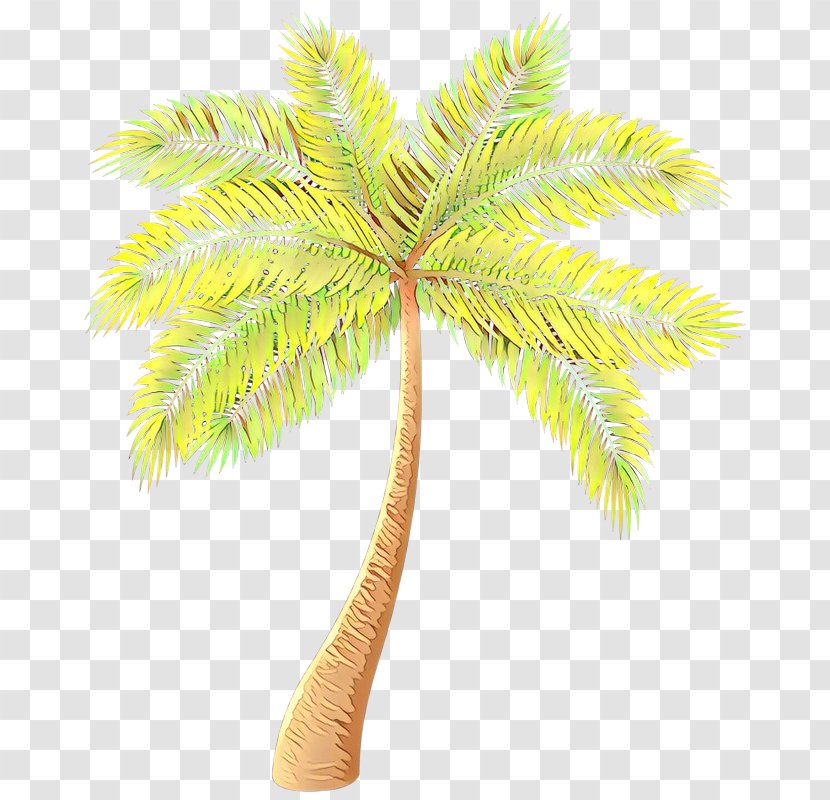 Asian Palmyra Palm Date Trees Coconut Plants - Tree - Leaf Transparent PNG