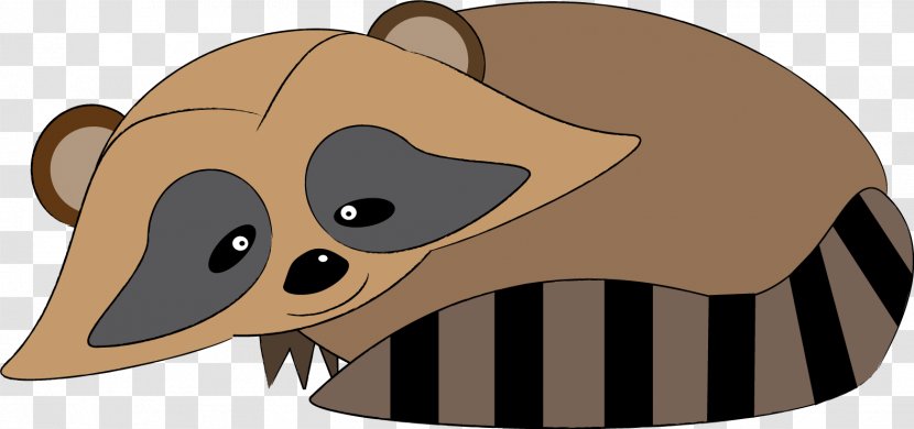 Bear Dog Procyonidae Carnivora Mammal - Raccoon Transparent PNG