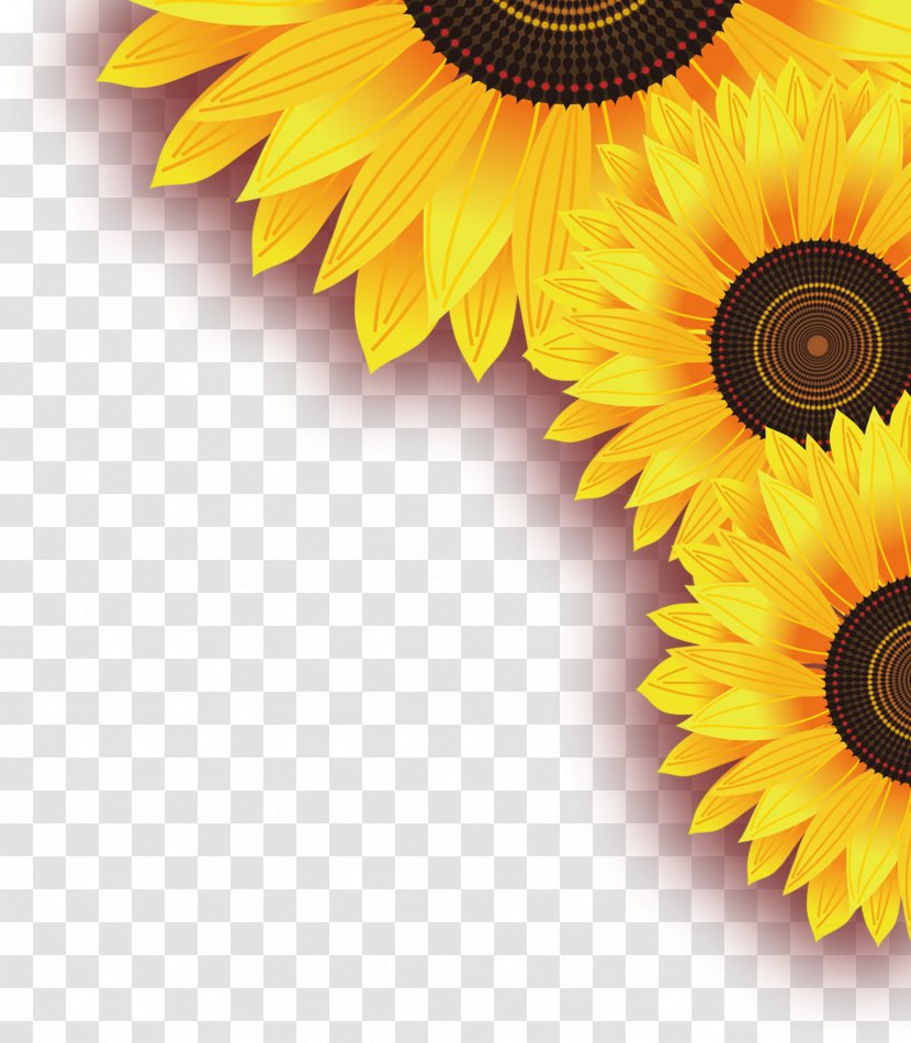 Common Sunflower Yellow Leaf - Daisy Family - Dimensional Decorative Material Free Transparent PNG