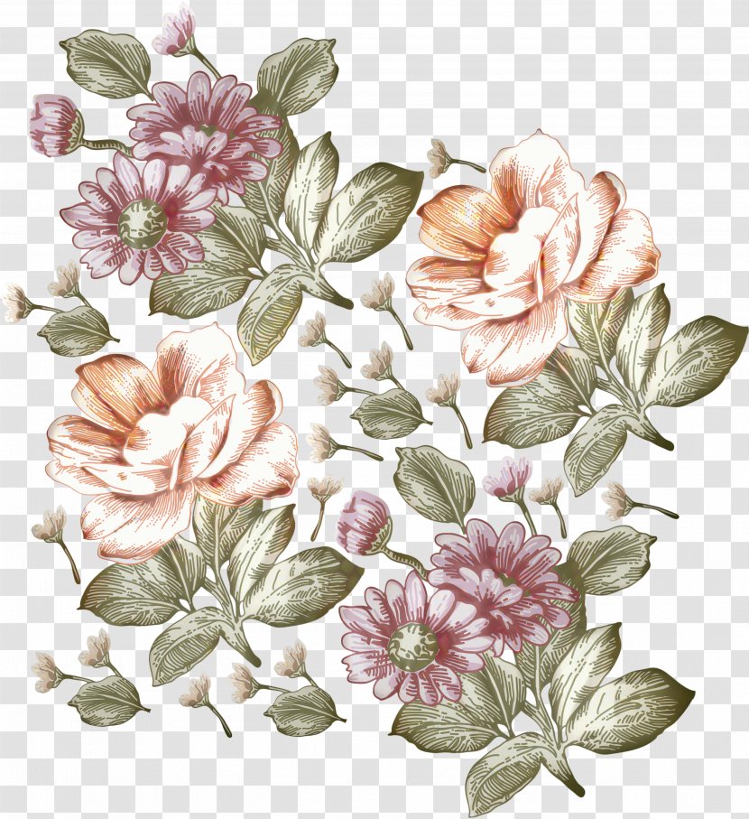 Floral Flower Background - Magnolia - Blossom Transparent PNG