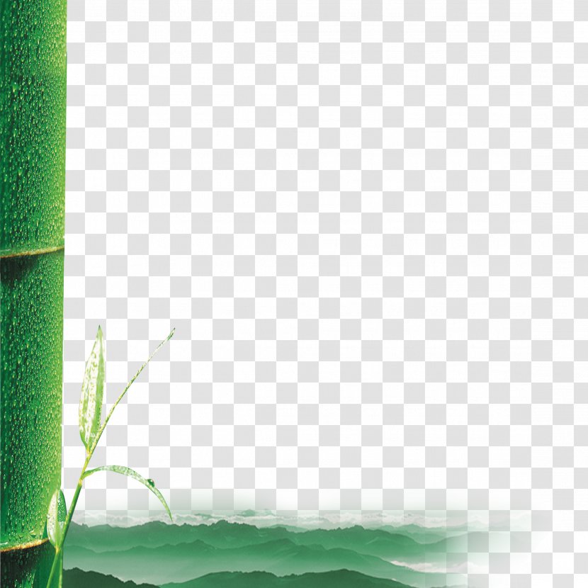 Slogan Wallpaper - Highdefinition Television - Bamboo Transparent PNG