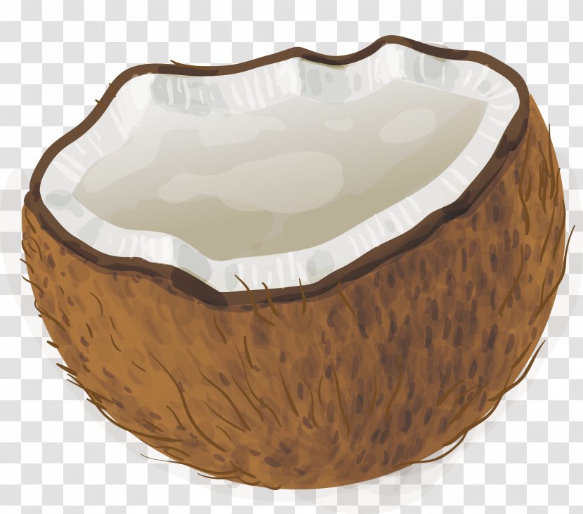 Coconut Milk - Hand Drawn Vector Diagram Transparent PNG