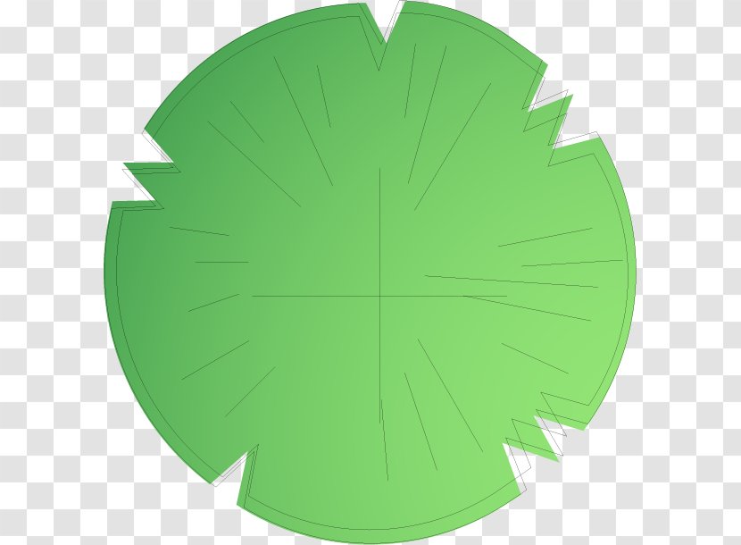 Leaf - Tree - Green Transparent PNG