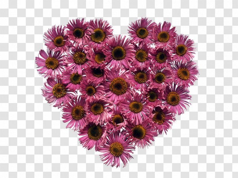 Valentine's Day Heart Desktop Wallpaper Flower - Daisy Family - Pink Flowers Transparent PNG