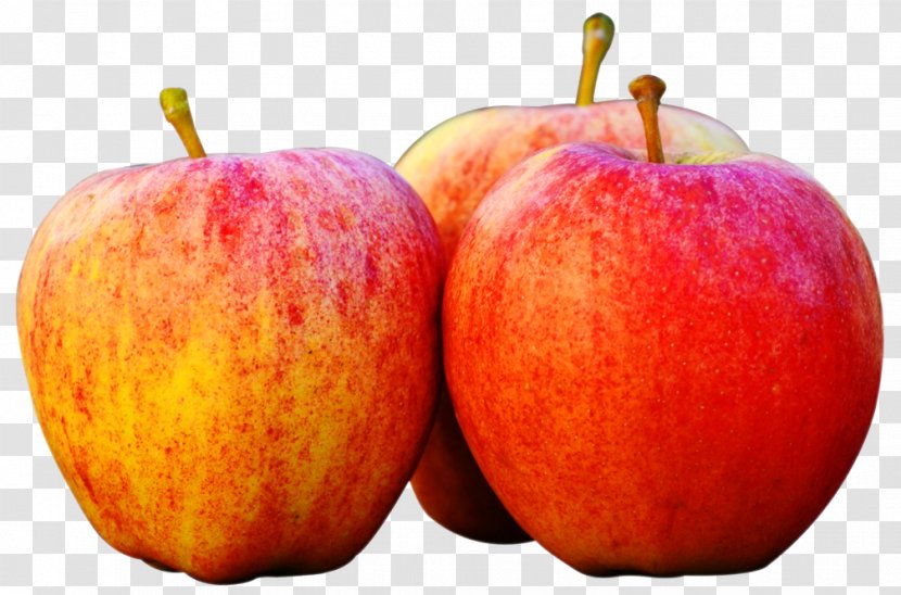 Apple Fruit Clip Art - Three Apples Transparent PNG