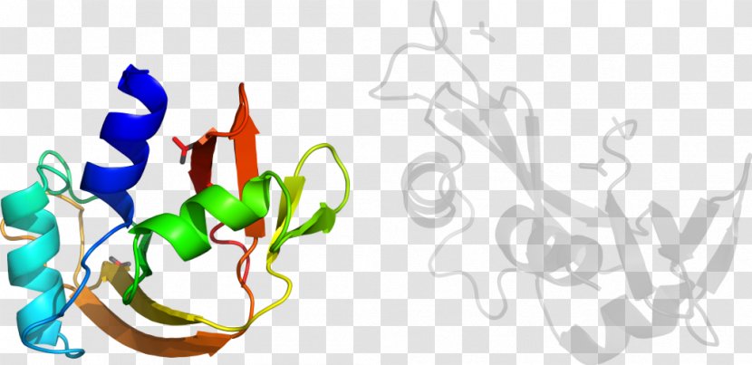 Graphic Design Leaf Plant Stem Clip Art Transparent PNG
