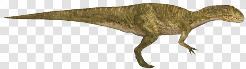 Velociraptor Animal Tyrannosaurus - Wing Transparent PNG