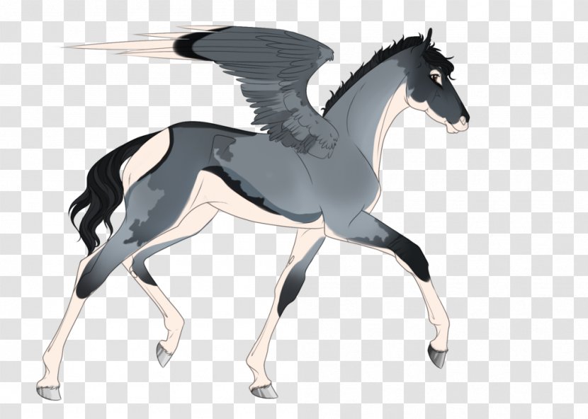 Mane Mustang Foal Stallion Colt Transparent PNG