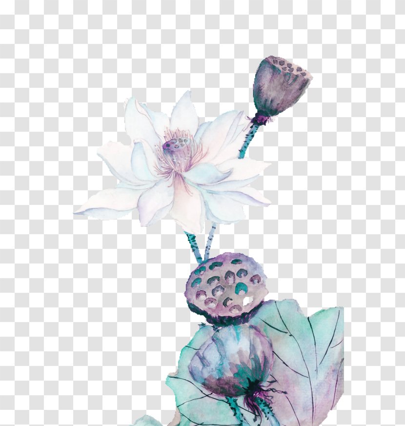 Nelumbo Nucifera Painting - Asian Art - White Lotus Pond Watercolor Decorative Pattern Transparent PNG