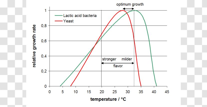 Brewer's Yeast Bacterial Growth Fermentation - Room Temperature - Rate Of Progress Transparent PNG