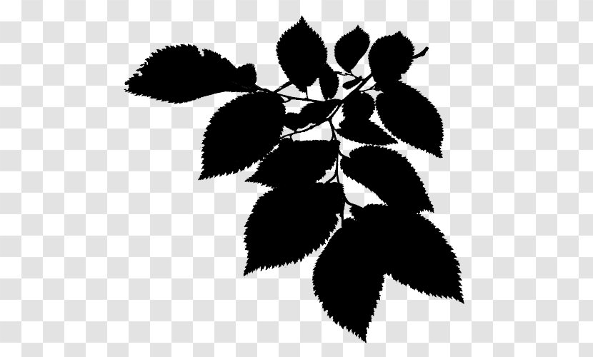 Twig Black & White - Silhouette - M Flower Plant Stem Leaf Transparent PNG